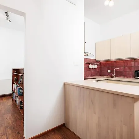 Apartment Of The Kings - View Krakow